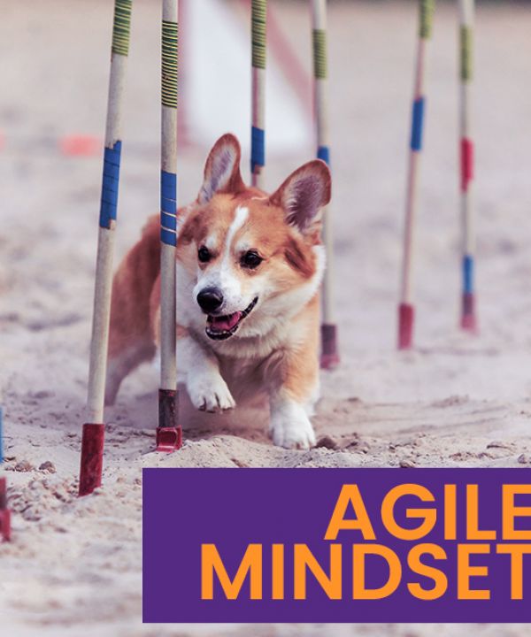 What is an Agile mindset?