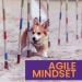 What is an Agile mindset? | Lifeboat Blog